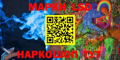 мдпв Бердск