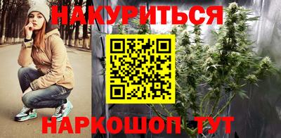 мдпв Бердск