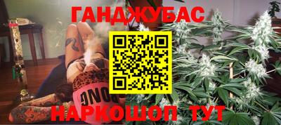 мдпв Бердск