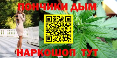 мдпв Бердск