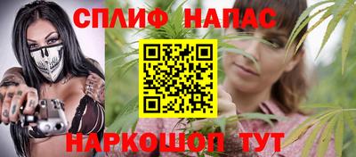 мдпв Бердск
