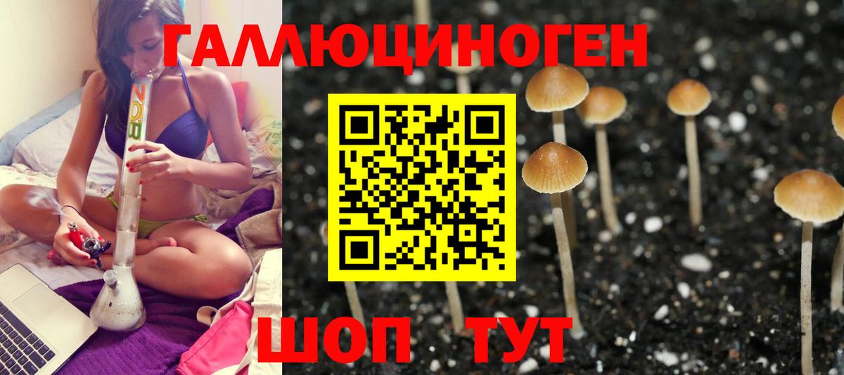 Галлюциногенные грибы Psilocybine cubensis  Вход с VPN  где можно купить   Астрахань 